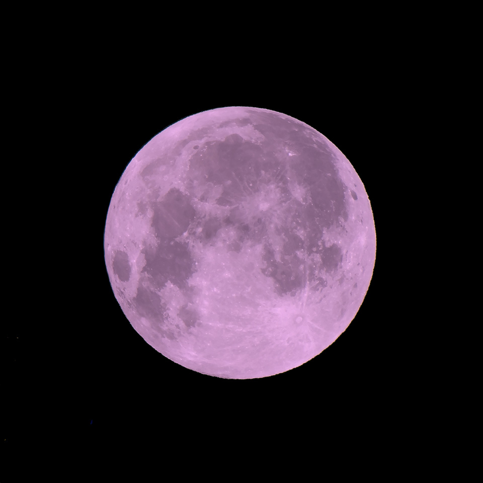luna rosa hestia portada